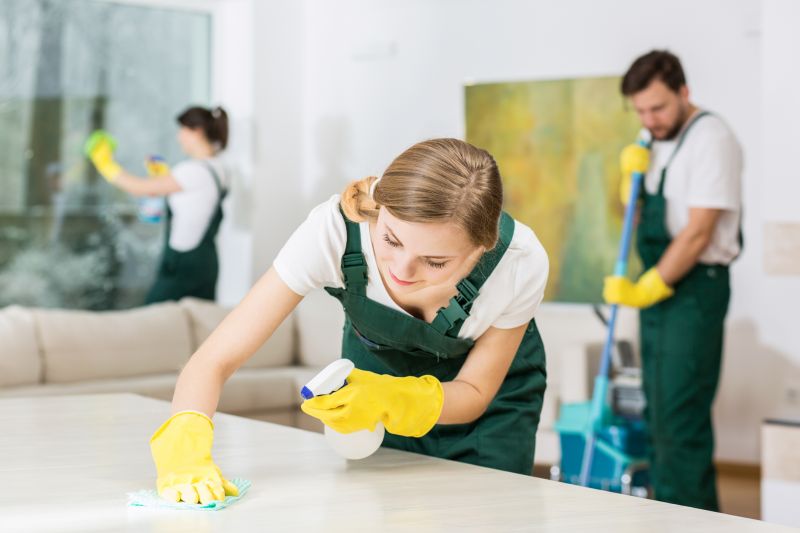 Apartment Cleaning Service in Renton, WA
